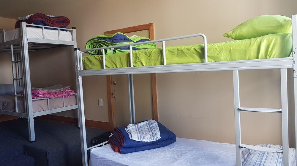 Wild Zebra Backpackers Vandrarhem Wellington Exteriör bild